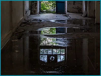 Lake Worth Restoration Expert Lake Worth, FL 561-349-5365 - flood