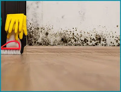 Lake Worth Restoration Expert Lake Worth, FL 561-349-5365 - mold